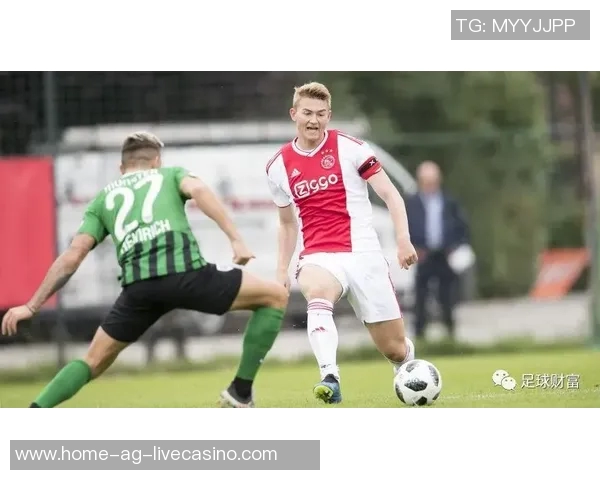 全面解析足球指数的影响因素与投注策略探讨