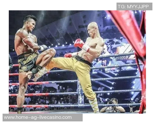 一龙与播求三番战再度交锋谁将成为巅峰之战的赢家揭晓荣耀与实力的较量